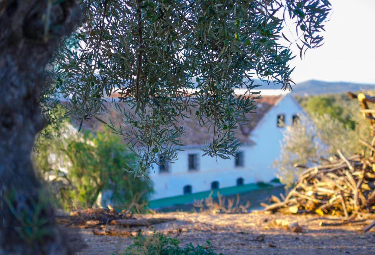 Cortijo Alzamigaja Villa Archidona Exterior photo
