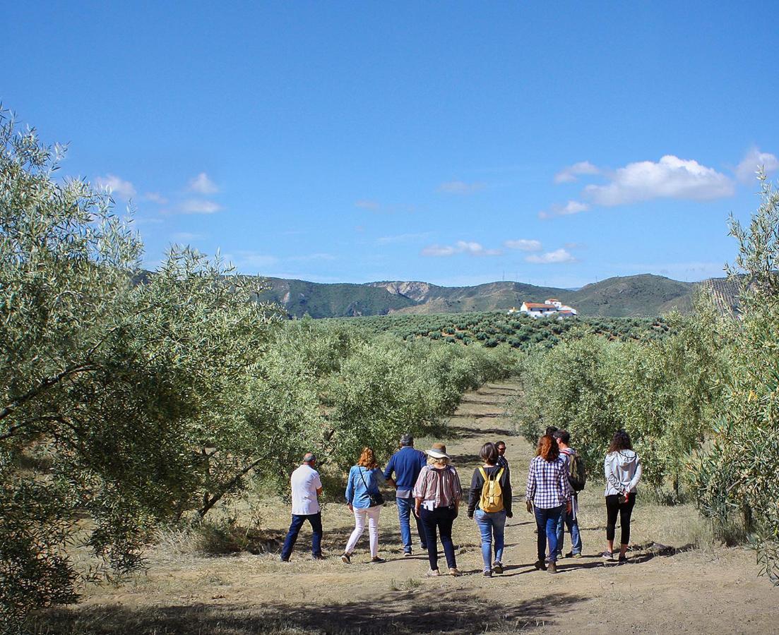 Cortijo Alzamigaja Villa Archidona Exterior photo