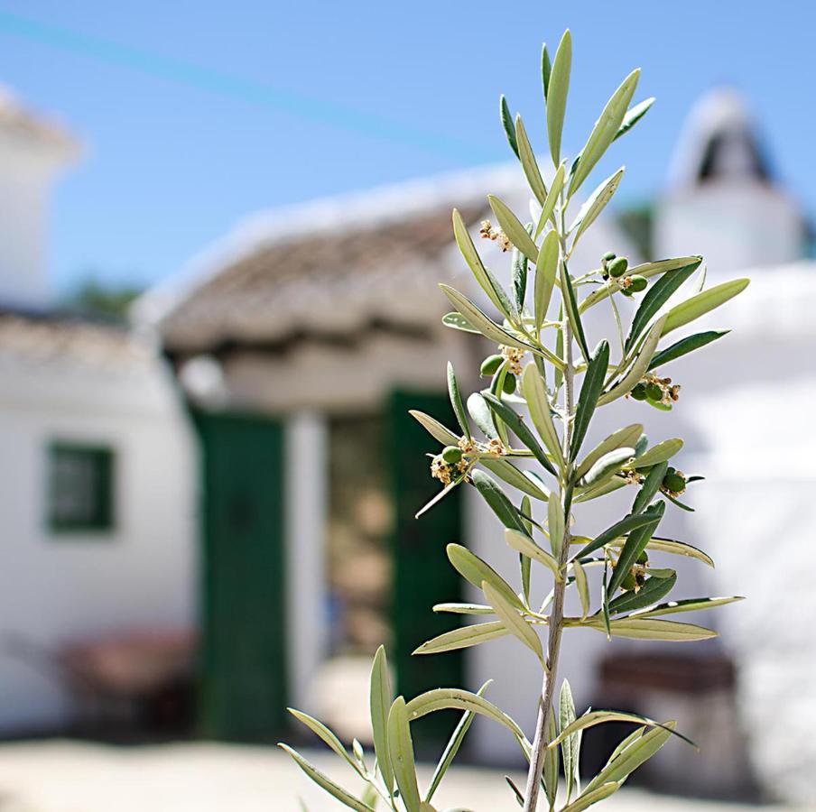 Cortijo Alzamigaja Villa Archidona Exterior photo