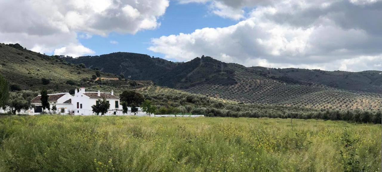 Cortijo Alzamigaja Villa Archidona Exterior photo