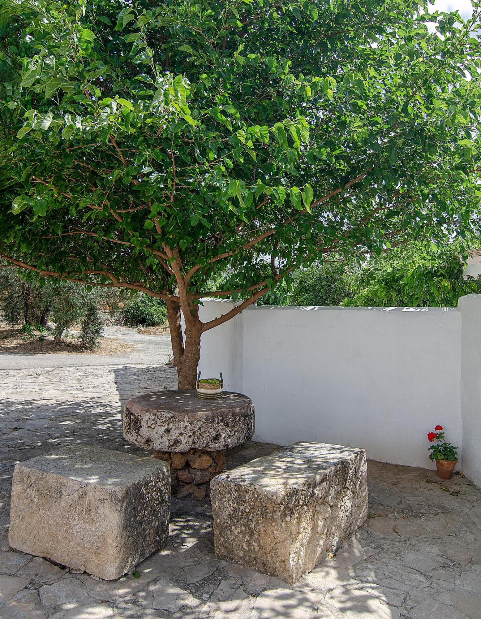 Cortijo Alzamigaja Villa Archidona Exterior photo